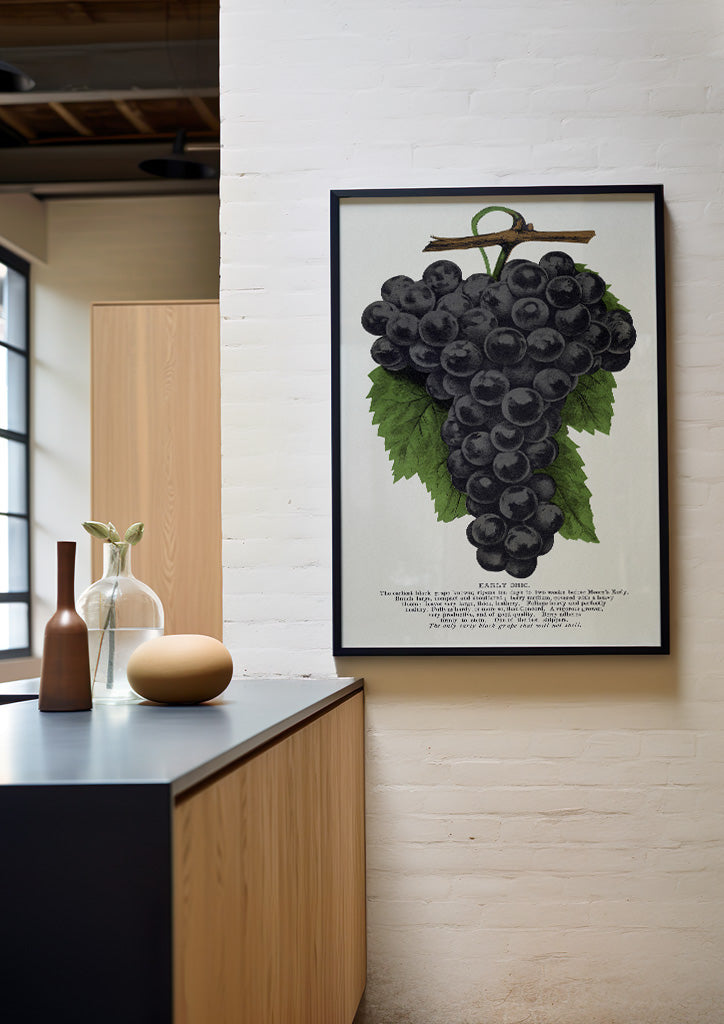 Grape Poster - Kitchen Wall Art