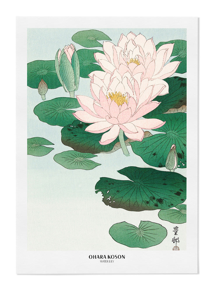 Ohara Koson Art Print - Water Lily
