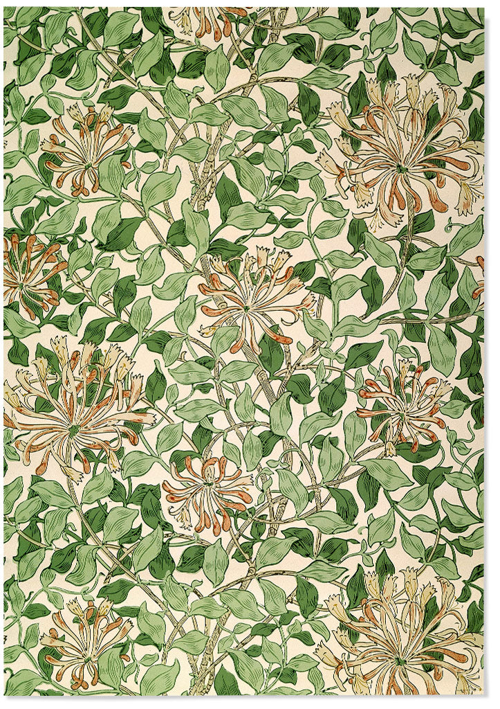 Honeysuckle Painting by William Morris