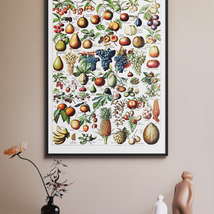 Adolphe Millot Print- Fruits