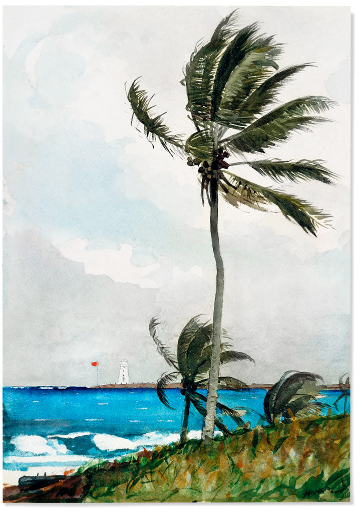 Winslow Homer Painting - Palm Tree, Nassau