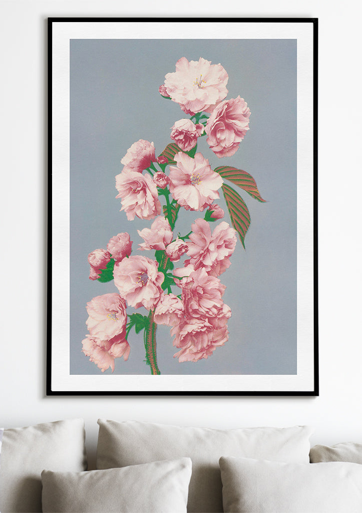 Japanese Art Print - Cherry Blossom