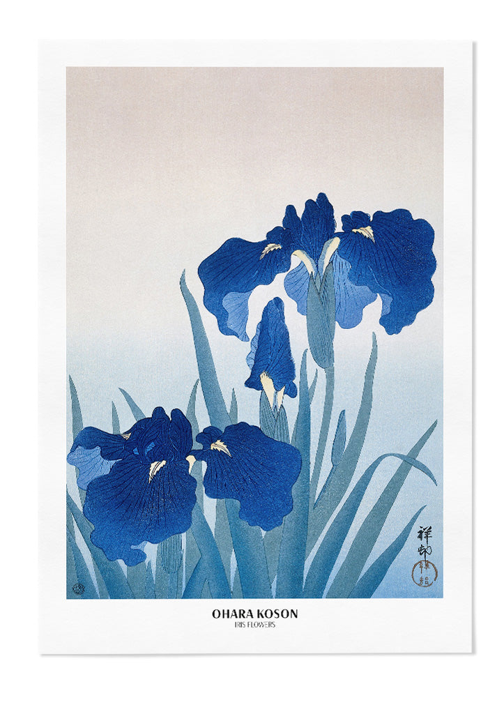 Vitage Flower Print - Irises by Ohara Koson