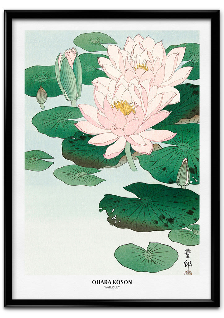 Ohara Koson Art Print - Water Lily