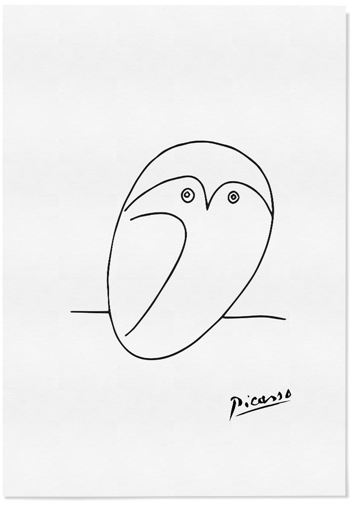 Picasso Line Drawing - Owl