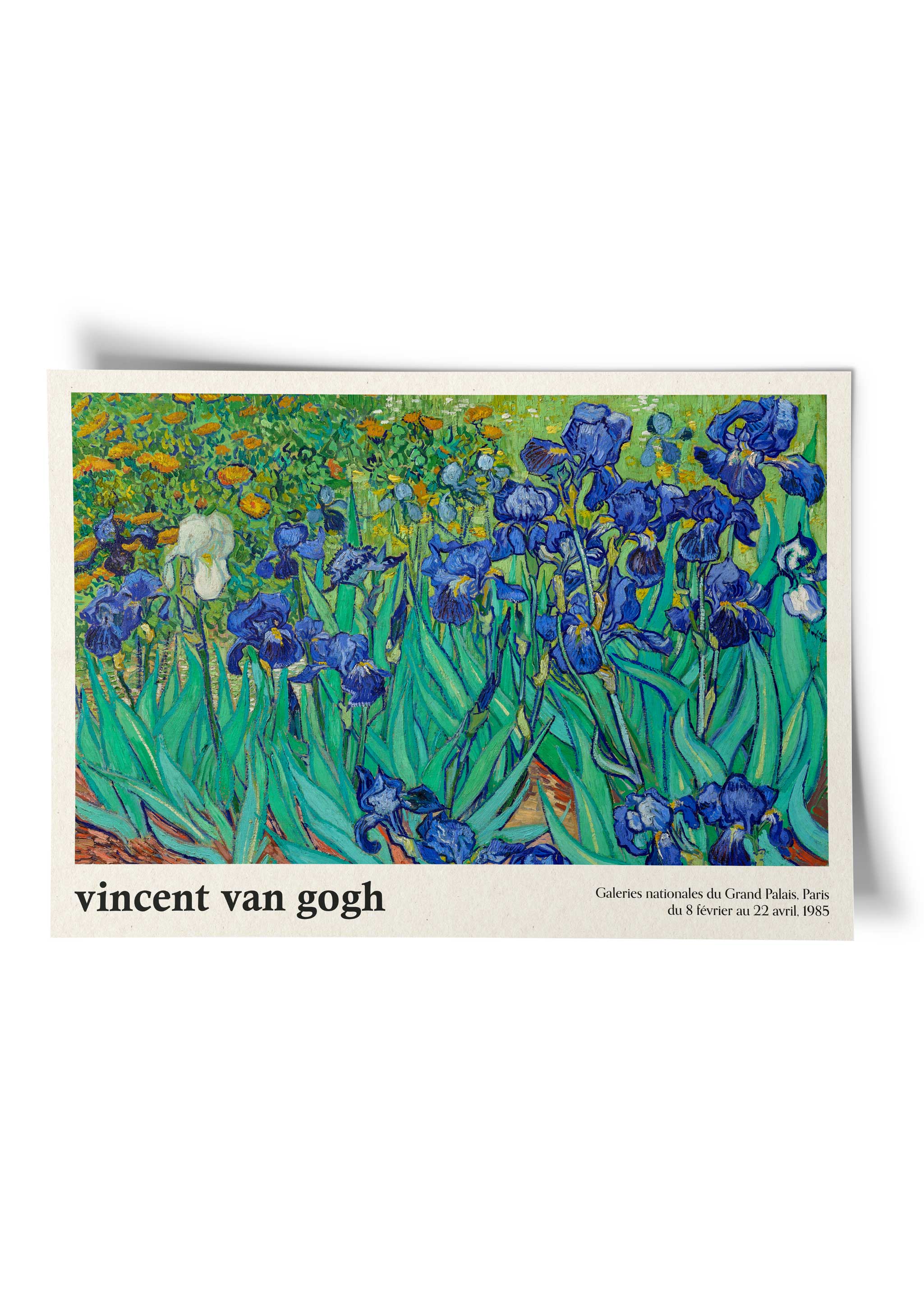 Vincent van Gogh - Irises Exhibition Poster